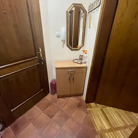 Cici زلاتيبور